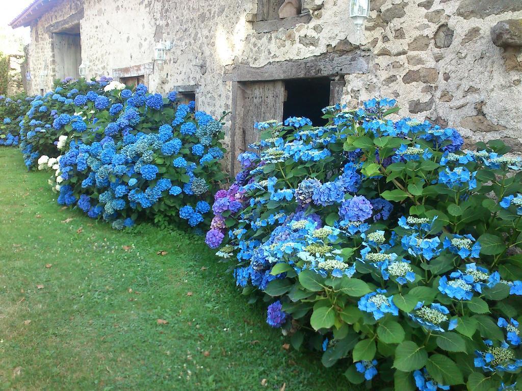 Le Domaine De Panissac Bed and Breakfast Berneuil  Buitenkant foto